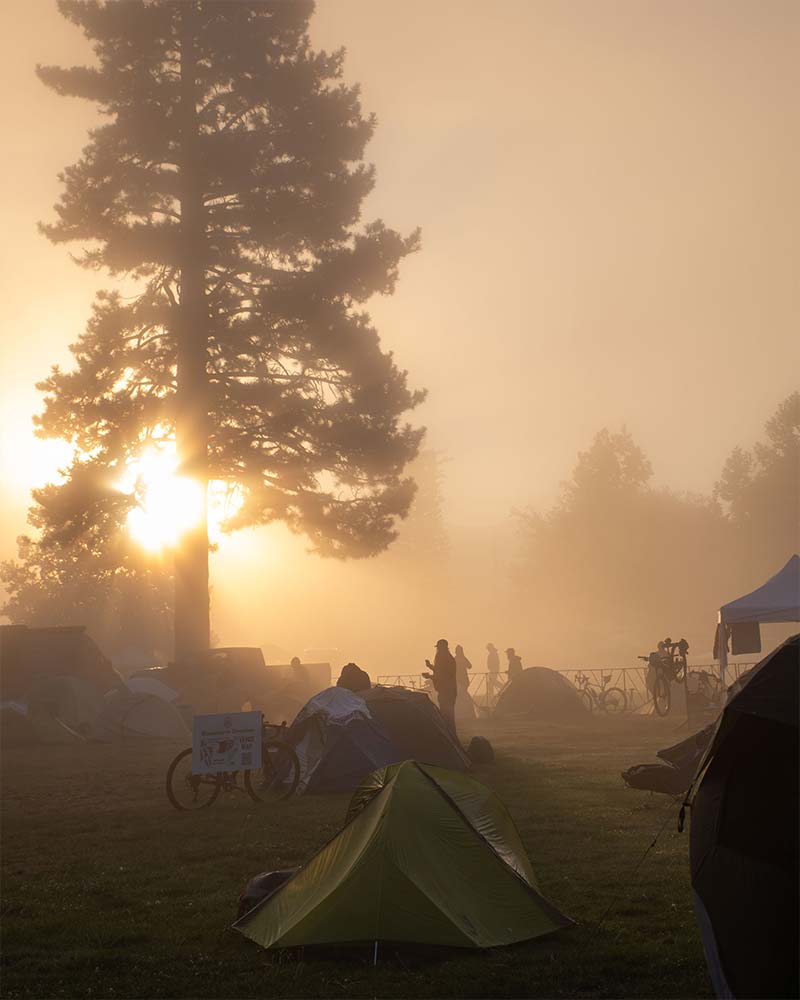 Camping in the meadow
