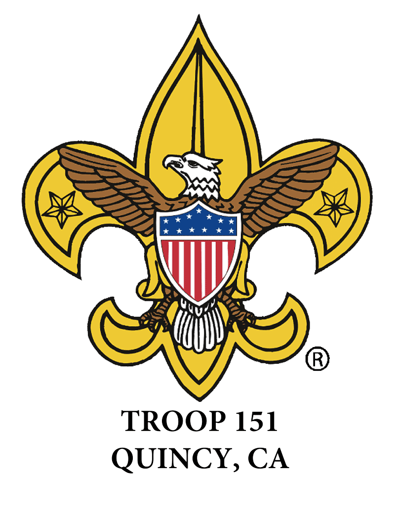 Troop 151