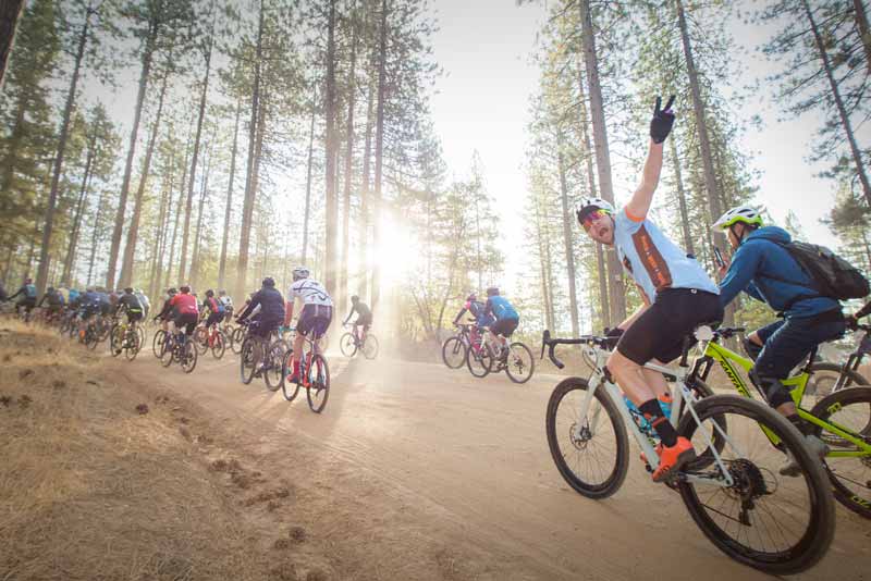 Gravel Grinder racers riding through the forest